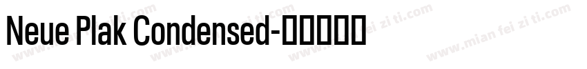 Neue Plak Condensed字体转换